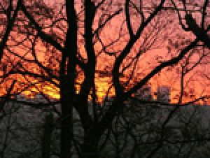 hacq071127.jpg