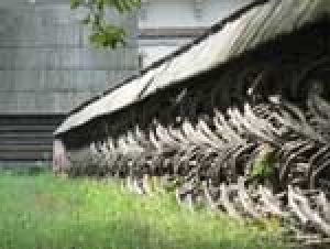 roum0610_cloture.jpg